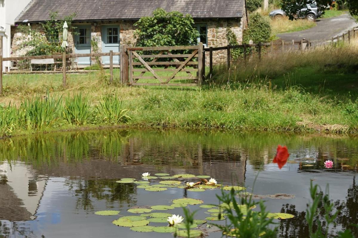 Dandelion Cottage, Amroth Esterno foto